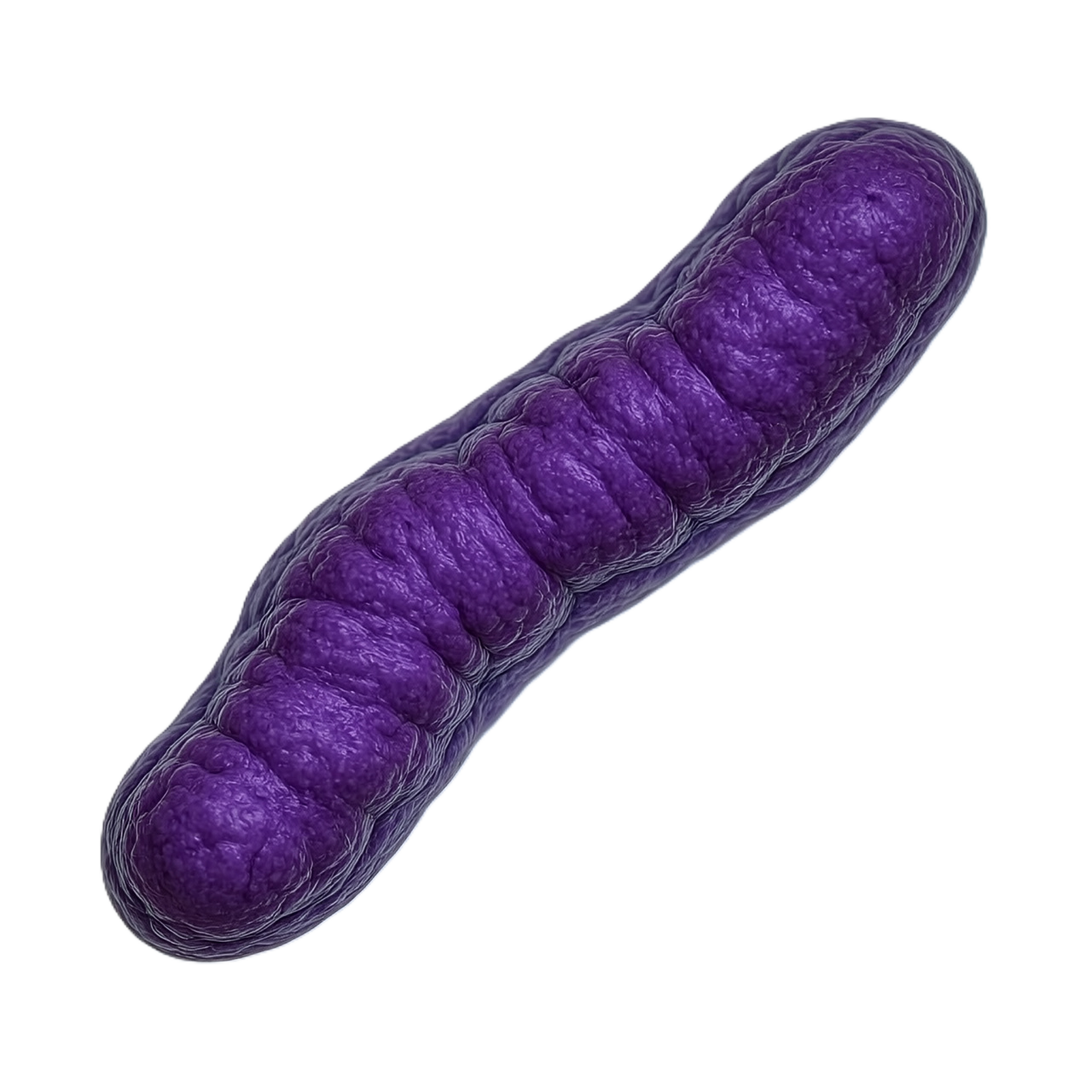 Vibrio cholerae
